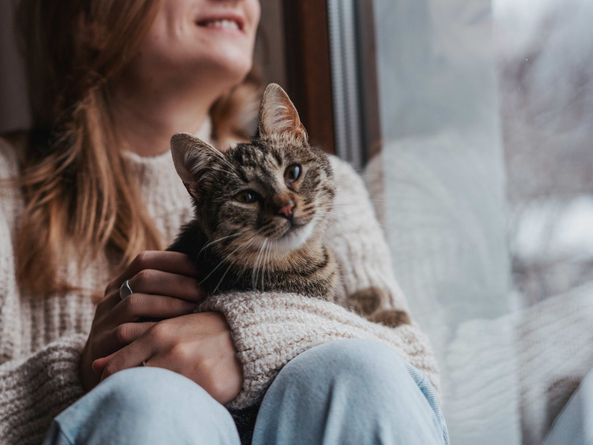 Mit der Katze kuscheln