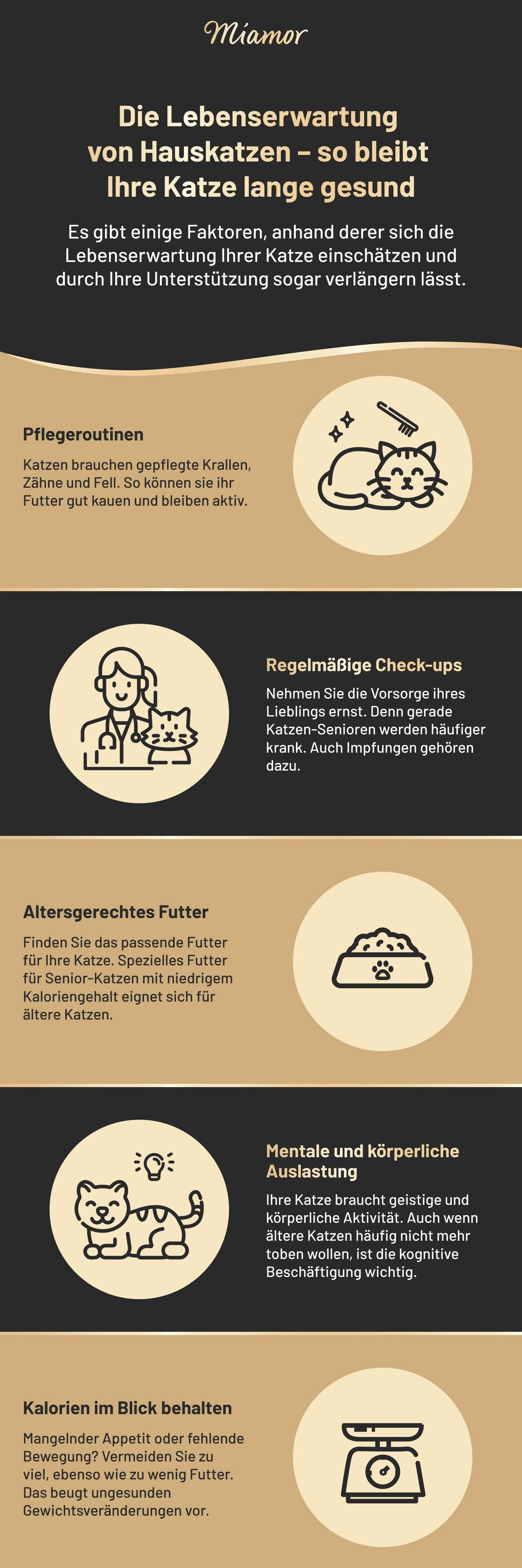 Infografik Lebenserwartung von Hauskatzen