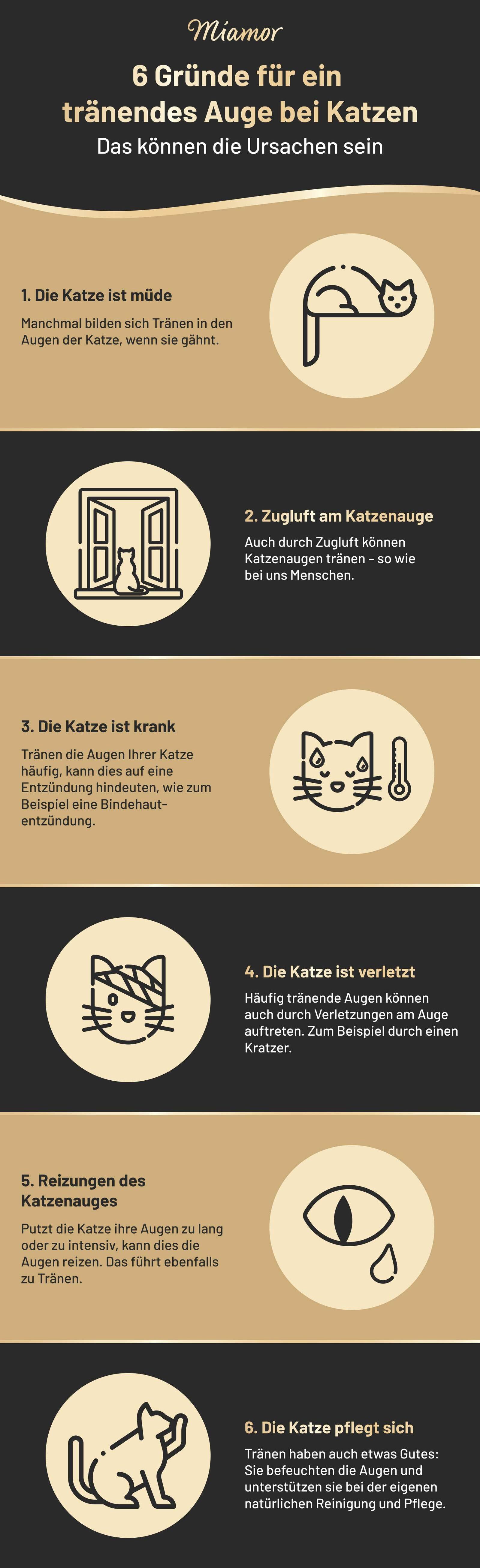 Infografik über tränende Augen bei Katzen.