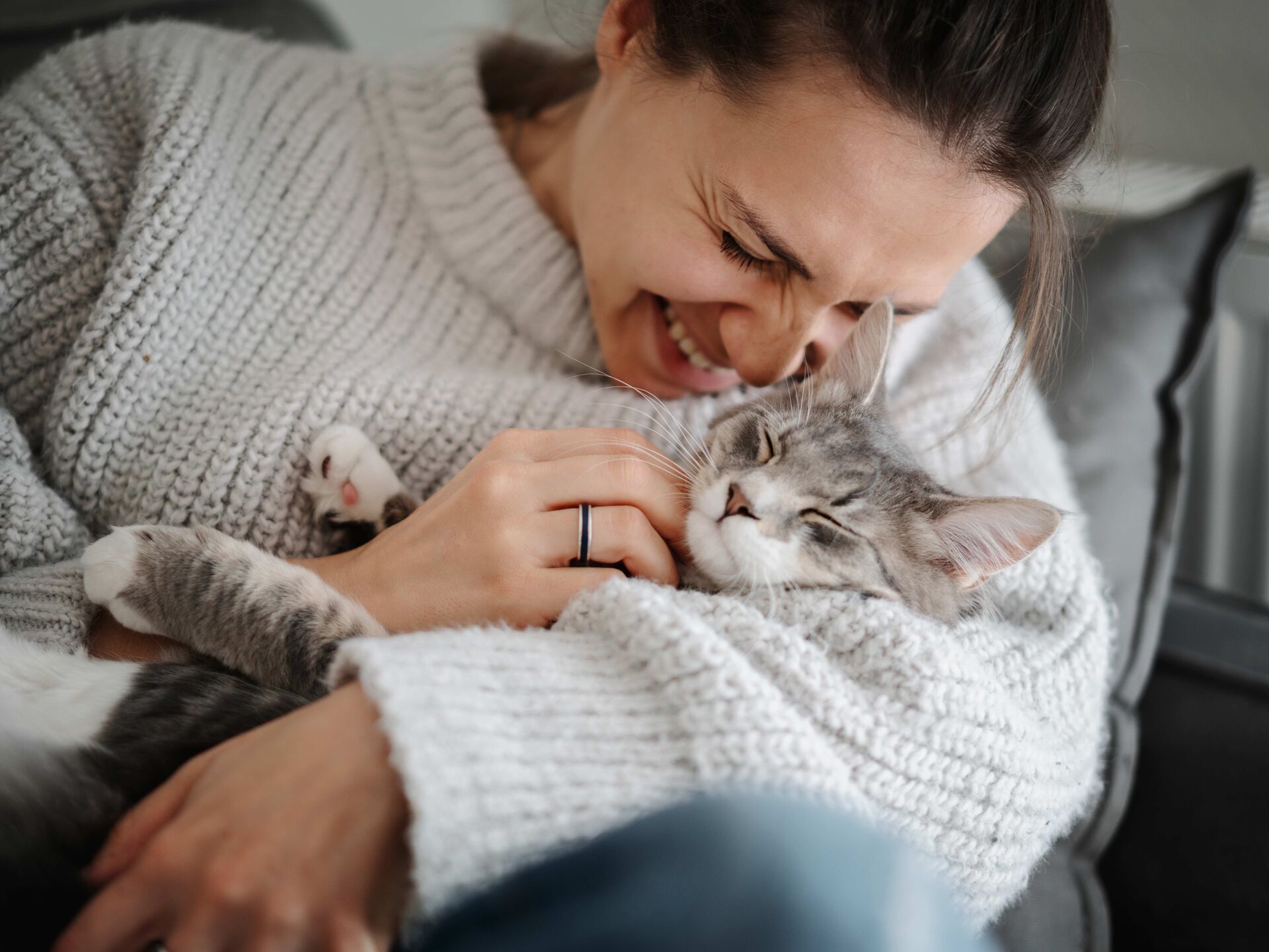 Sind Sie ein Katzenmensch?